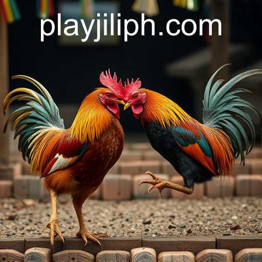 The Controversial World of Cockfighting